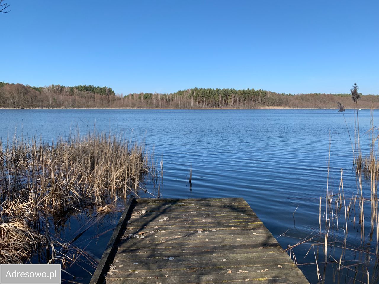 Działka budowlana Krucz. Zdjęcie 3