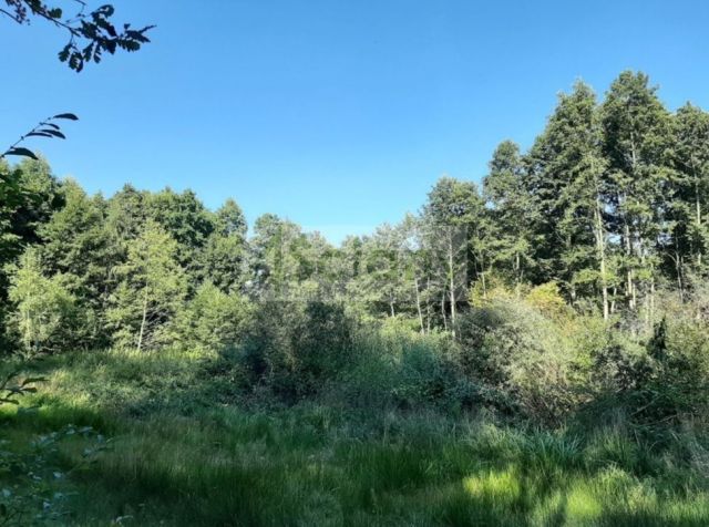 Działka budowlana Kady. Zdjęcie 3