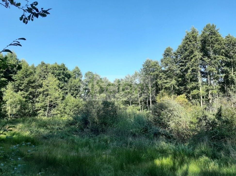 Działka budowlana Kady. Zdjęcie 3