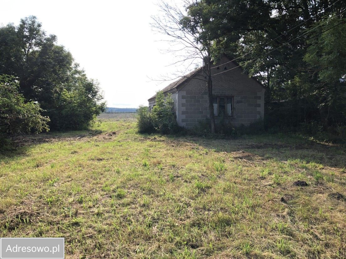 Działka siedliskowa Dzierzby Szlacheckie. Zdjęcie 5