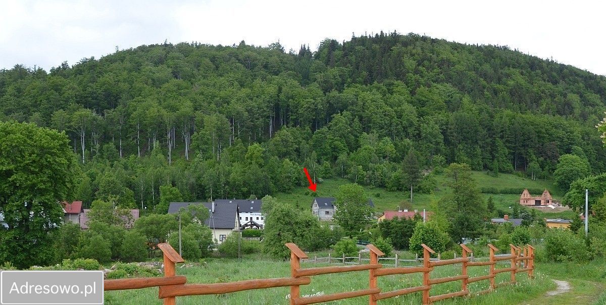 dom wolnostojący, 8 pokoi Stronie Śląskie, ul. Mickiewicza. Zdjęcie 9