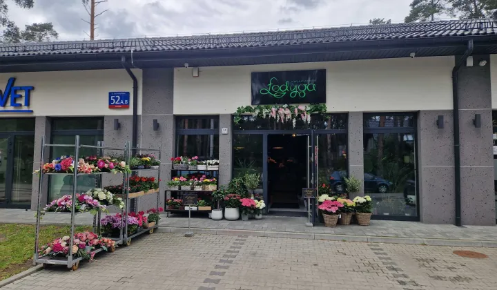 Lokal Józefów Kolonia Błota, ul. Samorządowa