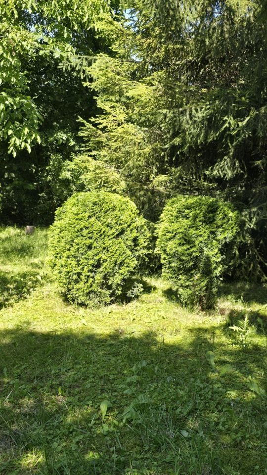 Działka rod Gliwice Sikornik, ul. Rybnicka. Zdjęcie 4