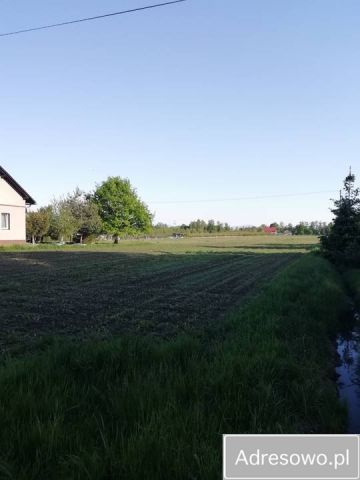 Działka rolna Frelichów. Zdjęcie 1