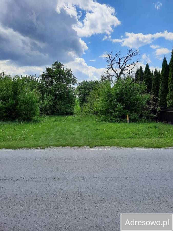 Działka rolno-budowlana Czarnolas. Zdjęcie 4