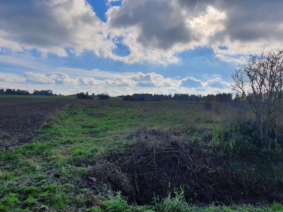 Działka rolno-budowlana Żelechów, ul. Widokowa. Zdjęcie 2