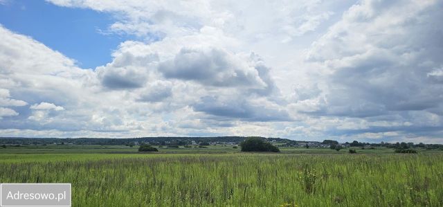 Działka rolno-budowlana Leńce. Zdjęcie 1