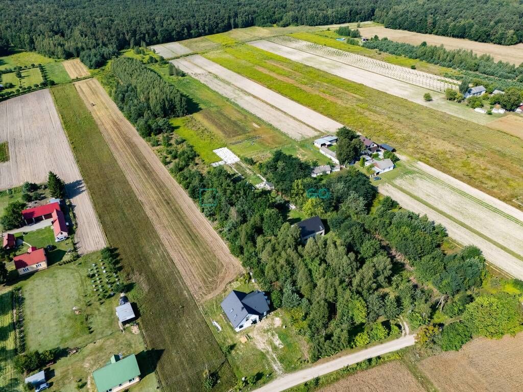 Działka siedliskowa Trzcianki. Zdjęcie 4