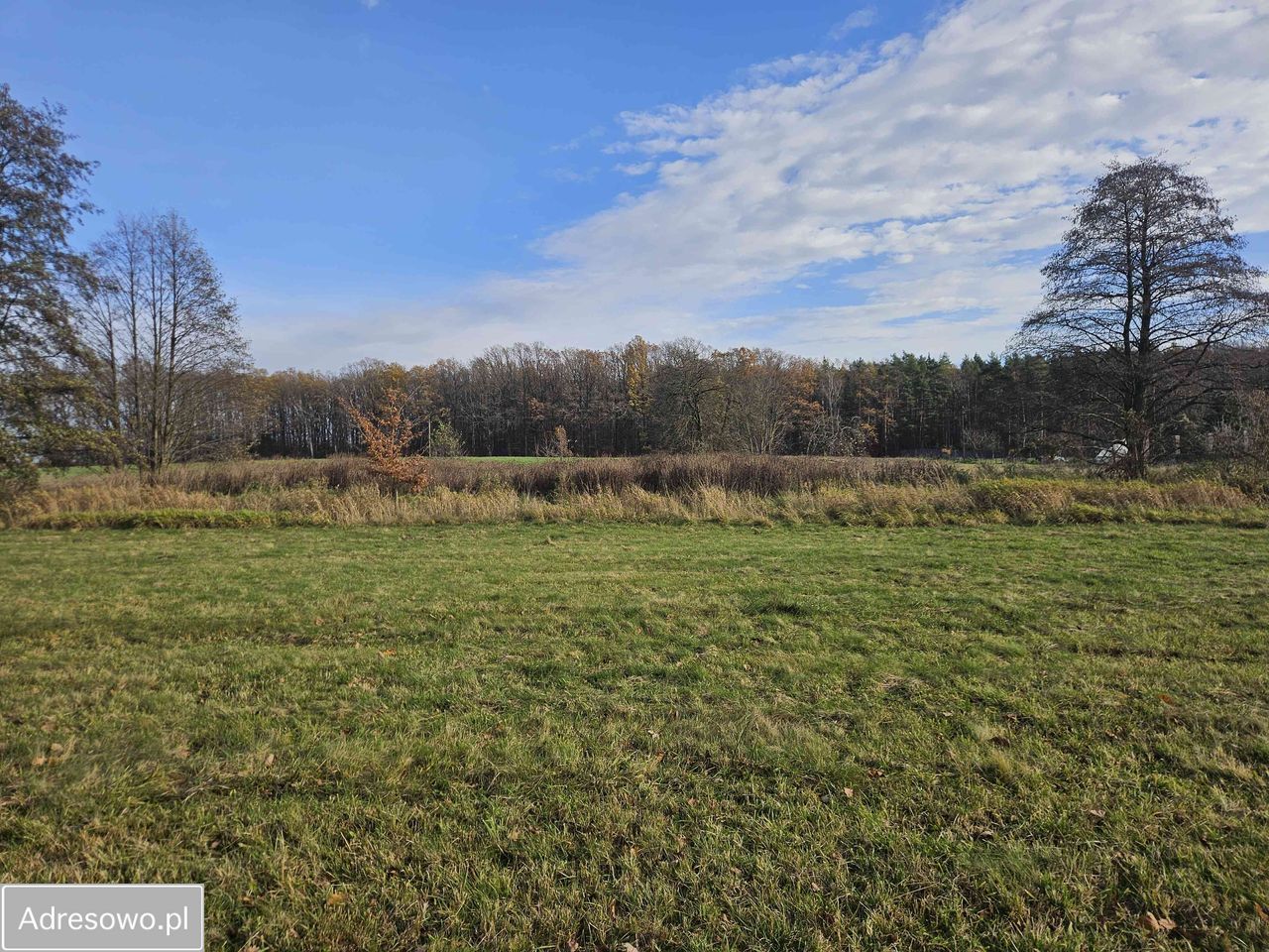 Działka rolno-budowlana Królewska Wola. Zdjęcie 11