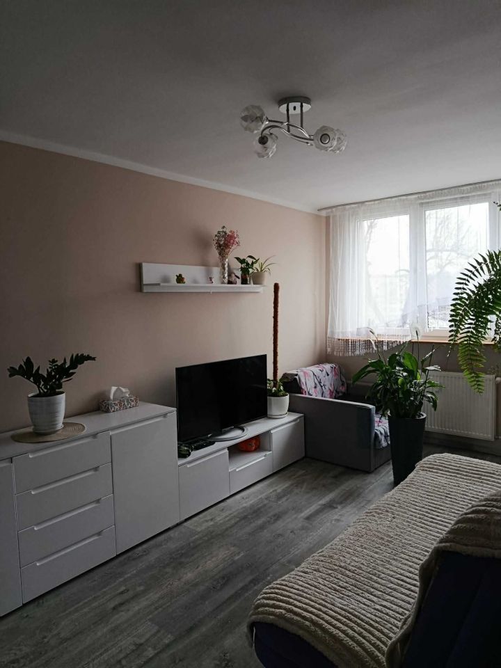 Mieszkanie 2-pokojowe Gubin, ul. Westerplatte. Zdjęcie 2