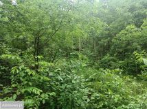 Działka budowlana Ostrowina. Zdjęcie 4