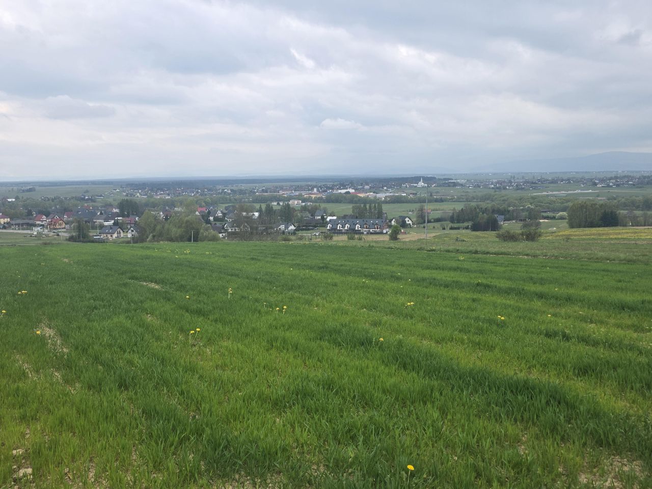 Działka rolna Jabłonka, ul. Pełtników. Zdjęcie 4
