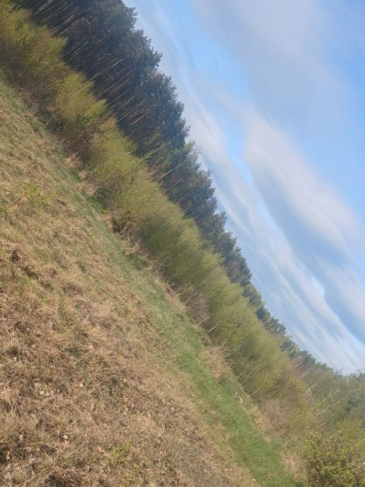 Działka inwestycyjna Rudno Jeziorowe. Zdjęcie 7