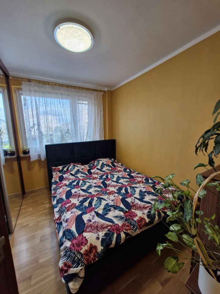 Mieszkanie 3-pokojowe Gliwice Sośnica, Odrowążów. Zdjęcie 9