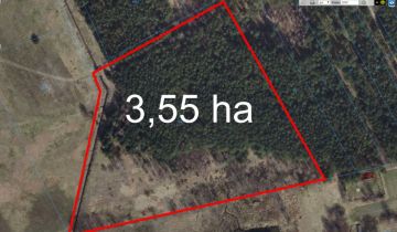 Działka leśna Kotły