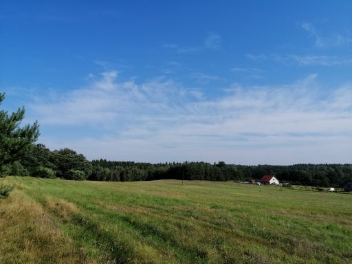 Działka rolno-budowlana Ludgierzowice. Zdjęcie 3