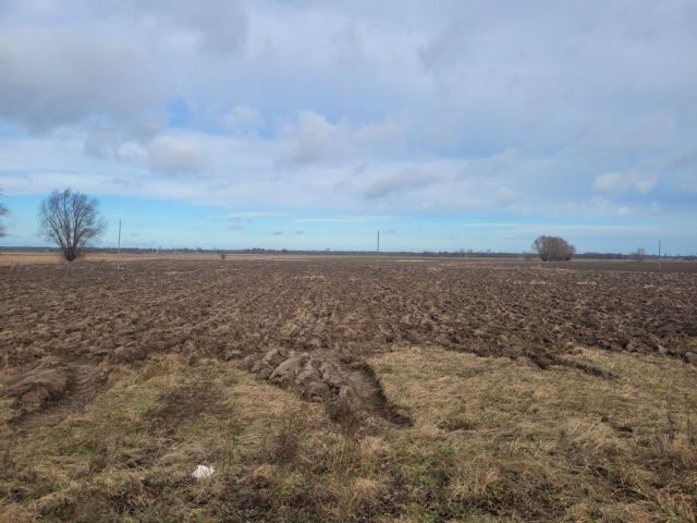 Działka rekreacyjna Chorążówka. Zdjęcie 1