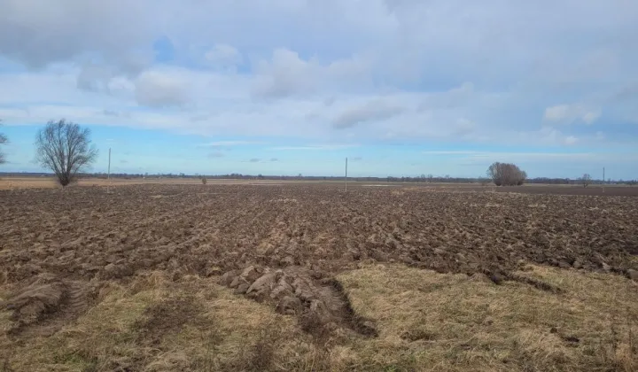 Działka rekreacyjna Chorążówka