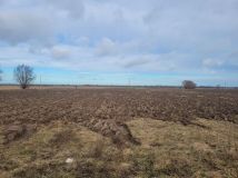 Działka rekreacyjna Chorążówka