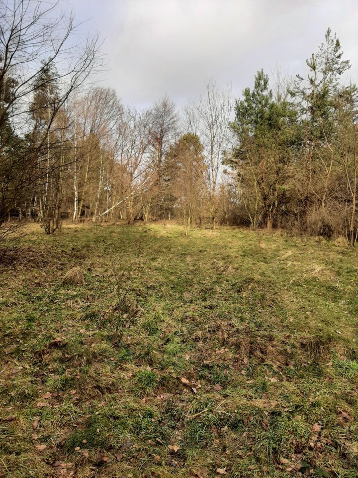 Działka budowlana Bargłówka, ul. Raciborska. Zdjęcie 13