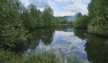 Działka rolno-budowlana Zalesiczki