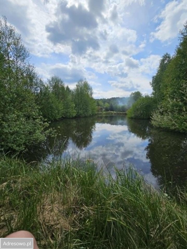 Działka rolno-budowlana Zalesiczki. Zdjęcie 2