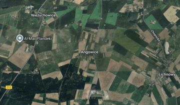 Działka rolno-budowlana Angowice