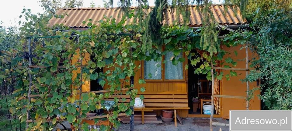 Działka rod Ostrowiec Świętokrzyski, ul. Grabowiecka. Zdjęcie 11