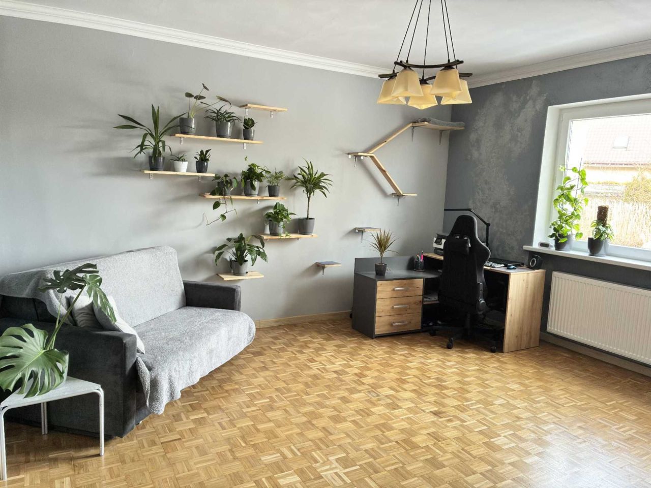 bliźniak Toruń Centrum. Zdjęcie 8