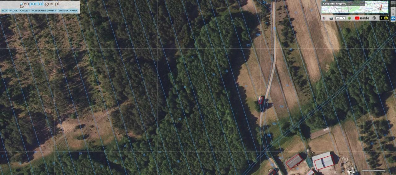 Działka leśna Zelwa Kiecie. Zdjęcie 4