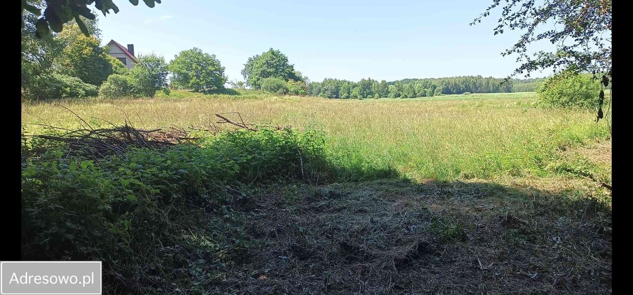 Działka rolno-budowlana Siekierowice. Zdjęcie 7