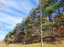 Działka rolna Głębock