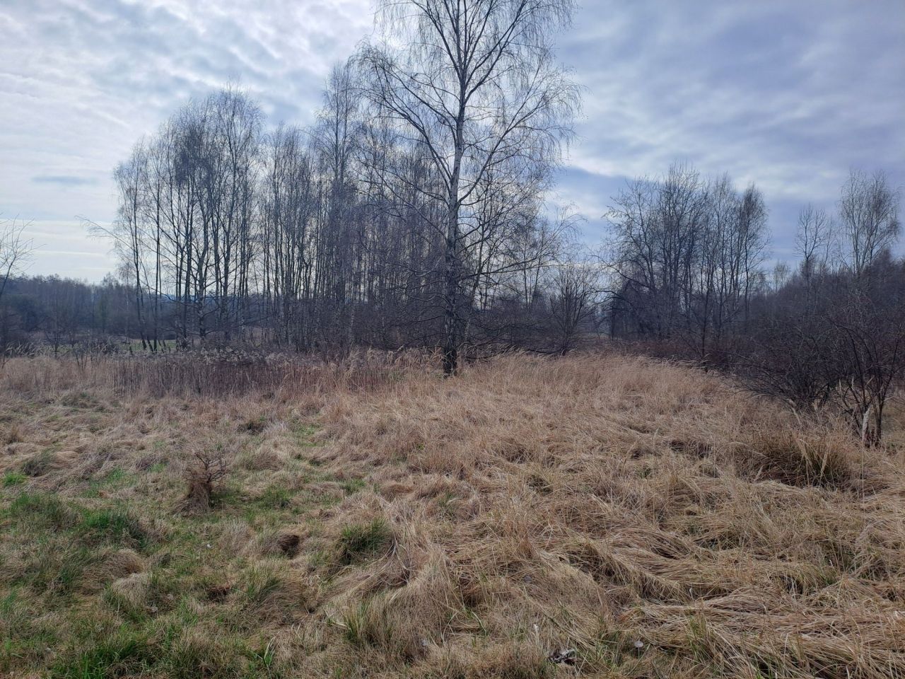 Działka budowlana Krzeczów. Zdjęcie 3