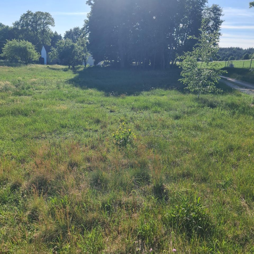 Działka rolno-budowlana Kąciki. Zdjęcie 3
