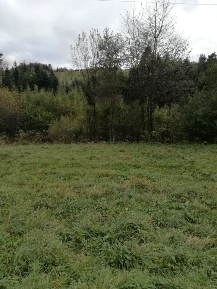 Działka rolna Berest. Zdjęcie 3