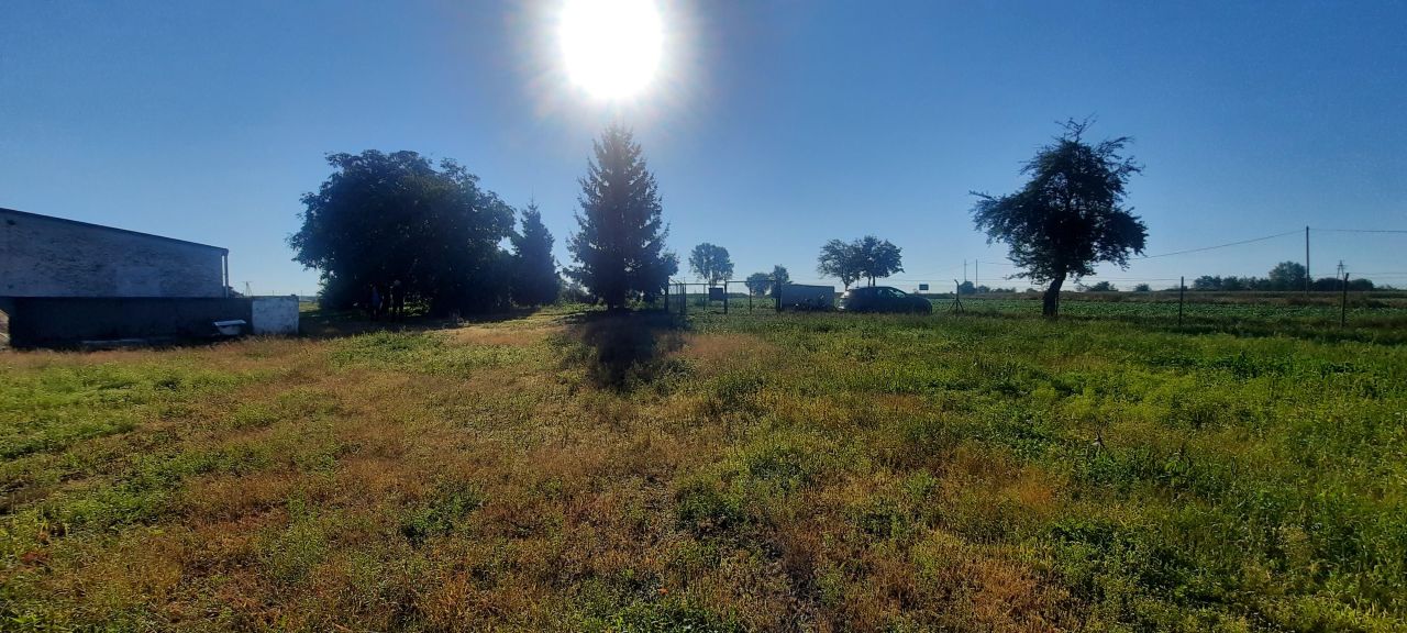 Nieruchomość komercyjna Branice, ul. Bolesława Prusa. Zdjęcie 9