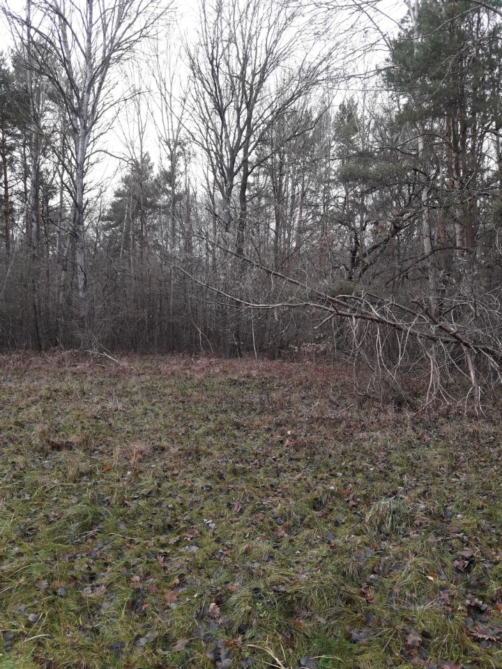 Działka inna Stare Załucze. Zdjęcie 15