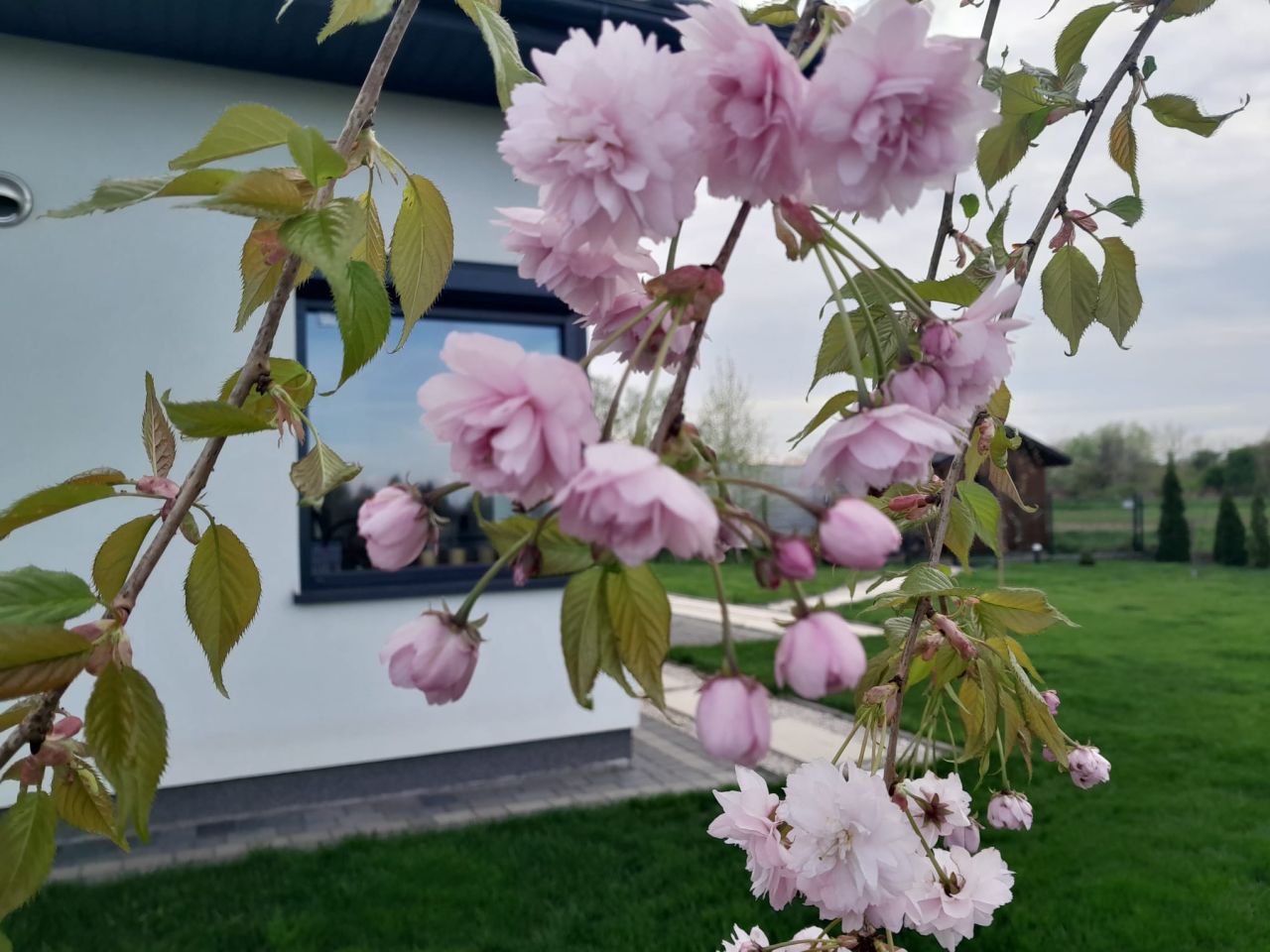 dom wolnostojący, 6 pokoi Łańcut, ul. Józefa Piłsudskiego. Zdjęcie 11