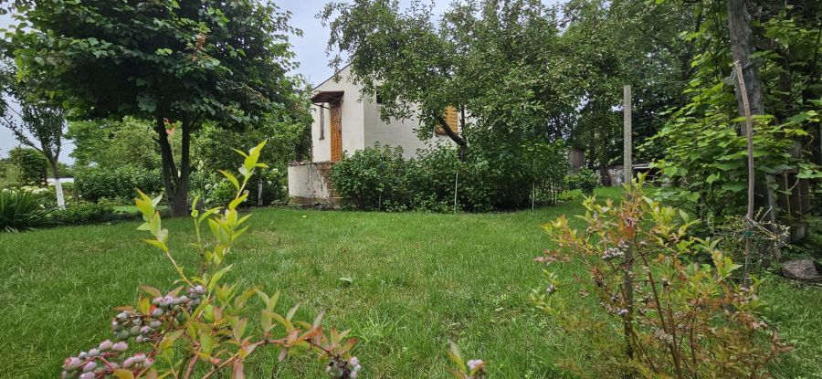 Działka rod Gdańsk Olszynka. Zdjęcie 10