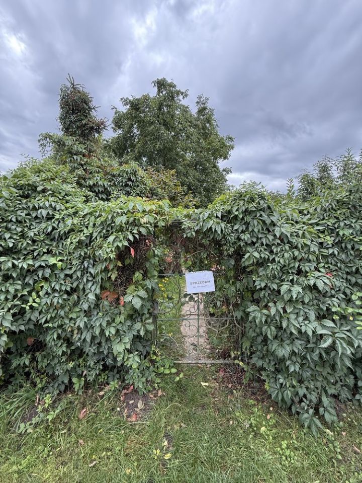 Działka rod Słubice, ul. Wojska Polskiego. Zdjęcie 6