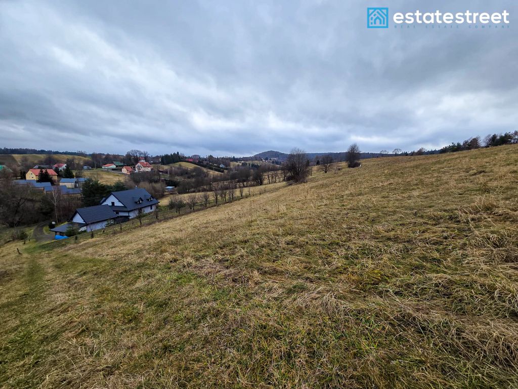 dom wolnostojący, 5 pokoi Bereżnica Wyżna. Zdjęcie 5