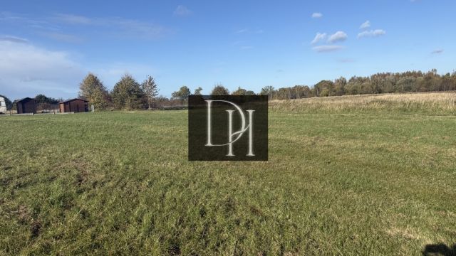 Działka rolna Lędzin. Zdjęcie 4