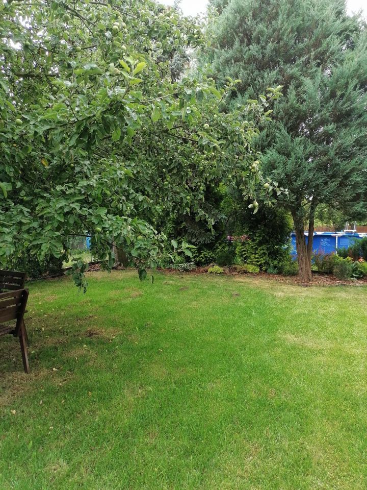 Działka rod Łęczyca. Zdjęcie 7