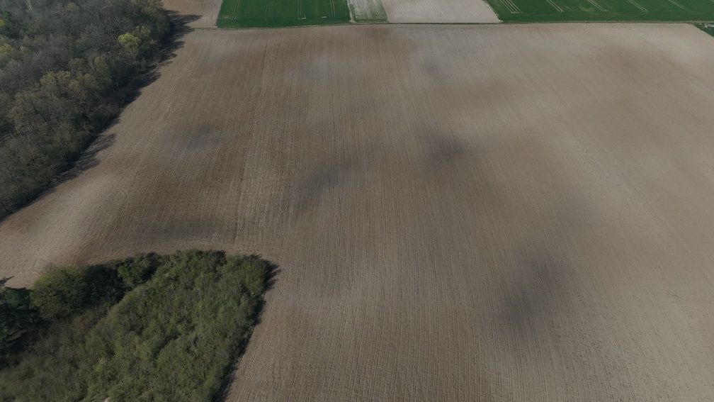 Działka rolna Rybieniec. Zdjęcie 2