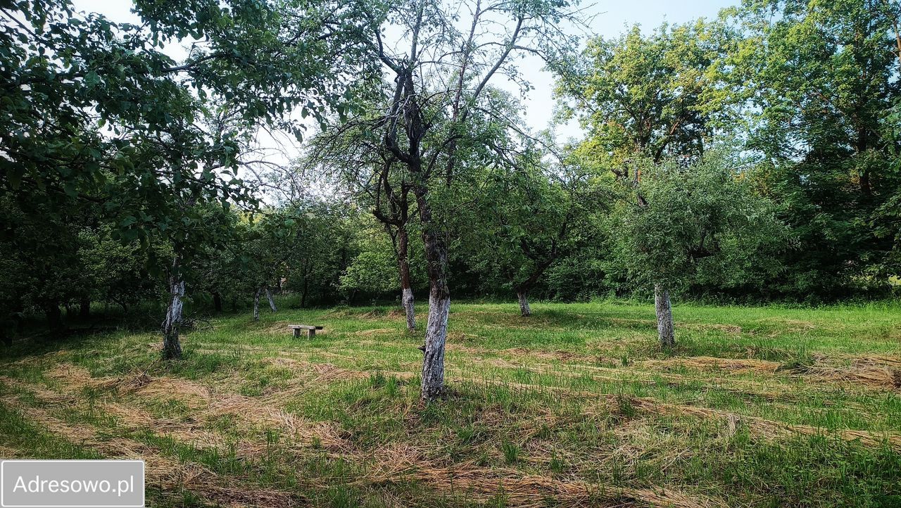 Działka rolno-budowlana Bierówka. Zdjęcie 8