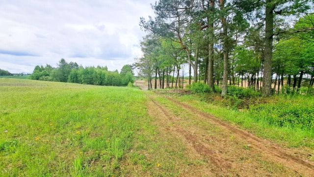 Działka budowlana Dąbrówka Wielka. Zdjęcie 7