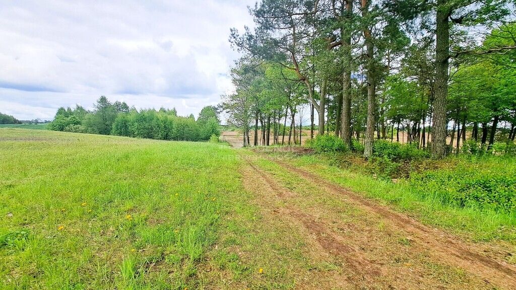 Działka budowlana Dąbrówka Wielka. Zdjęcie 7