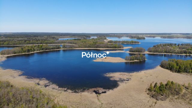 Działka siedliskowa Strzelniki. Zdjęcie 3