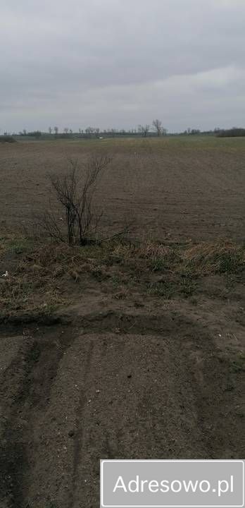 siedlisko, 4 pokoje Mąkowarsko, ul. Spokojna. Zdjęcie 11