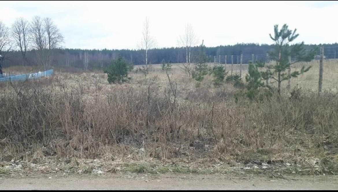 Działka budowlana Serski Las. Zdjęcie 3